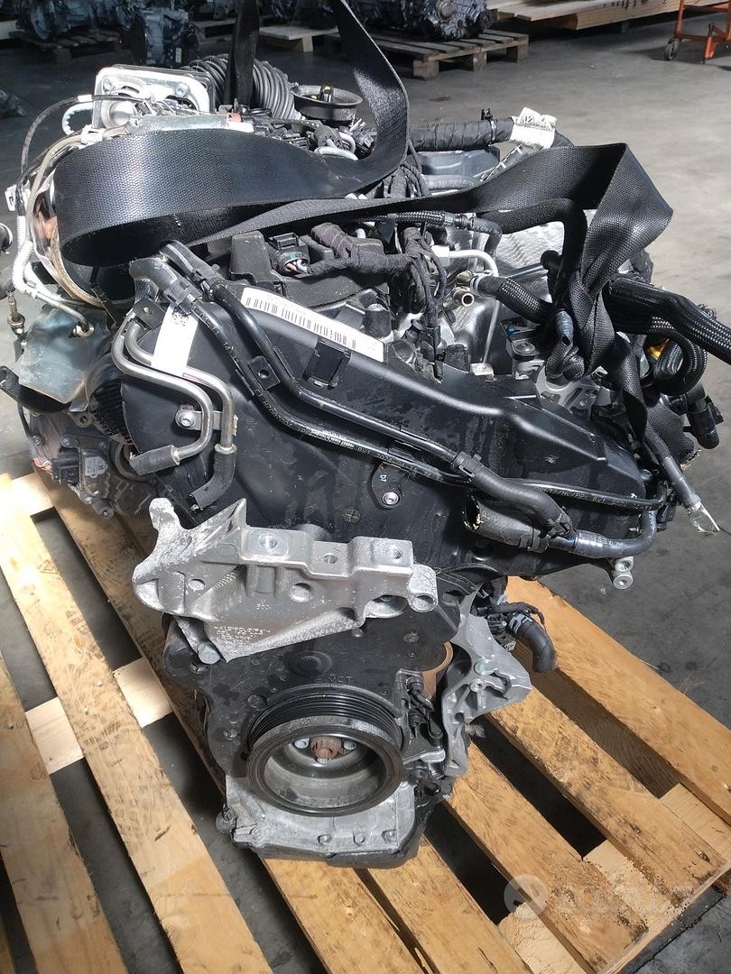 motore Volkswagen audi 2.0tdi 2024 DXP